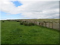 ND1162 : Wall of Caithness slate on the field of North Calder Farm by John Ferguson