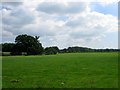 North Field/Barn Field