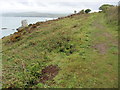 The Pembrokeshire Coast Path near Crincoed