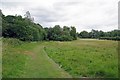 Causeway Meadow