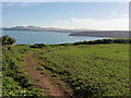 SM8533 : The Pembrokeshire Coast Path near Abercastle by Dave Kelly