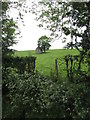 Field barn on the side of Benraw Mountain