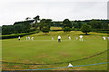 Village cricket at Crowcombe