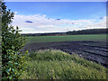 Farmland South of the East Lancashire Road