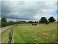 Flemish Farm