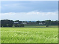 Fields Northwest of Blindman