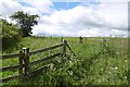 Field corner, Blackhill