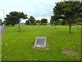 Millennium Green, Dormanstown