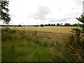 Fields of Clayhill Farm