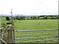 Grazing land on the south side of Benraw Road