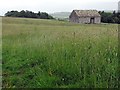 NY8056 : Hay time at Tithe Barn by Andrew Curtis
