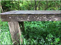 NO2306 : Inscription on bench, Maspie Den, Lomond Hills by Bill Kasman