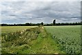 Footpath to Poplar Farm