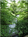 River Cole downstream of Shirley