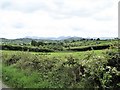 View SSW from the Dromara Road as it approaches the village of Leitrim