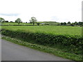 View NNE across grazing land between Dromara Road and Benraw Road