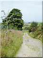 Stony road north of Llanycrwys in Carmarthenshire