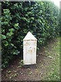 Old Milepost by the B3170, Orchard Portman, south of Taunton