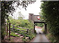 Railway Bridge Near Stapleton