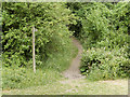 Footpath, Cleeve Hill