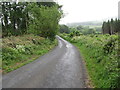 View north along Oldbridge Road