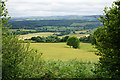 Sheep grazing below Great Hill