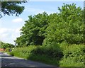 Westbury Road at Birchanger Farm