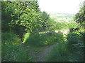 The junction of Halifax Bridleways 485 and 486, Ovenden Wood