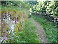 Halifax Bridleway 486, Ovenden Wood