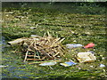 Rubbish nest on River Dour