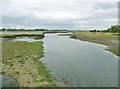 Totton, River Test