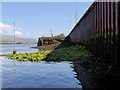 NN0973 : Loch Side, Fort William by David Dixon
