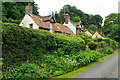 Cottages in Holford Combe