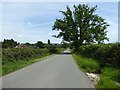 Country road near Oreton