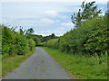 Lane towards Assington Green