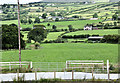 Gates and fields, Ballybracken, Ballynure/Larne (July 2017)