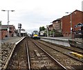 Stationary train at Whitehead Station