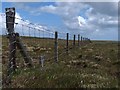NB4744 : Fence, Sidhean BlÃ r a' Chairn, Isle of Lewis by Claire Pegrum