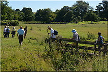 ST0007 : Mid Devon : Grassy Field by Lewis Clarke