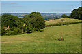 Mid Devon : Countryside Scenery