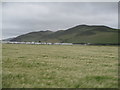 Bryniau arfordir Ceredigion / Ceredigion coastal hills