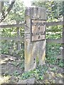 Old Milestone by the A60, Holbeck