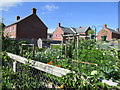 Orchard Allotments, Bridport