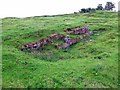 Disused limestone quarry near Shieldfield