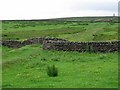 NY8155 : Remains of Allen Smelt Mill flue near Frolar Meadows by Andrew Curtis