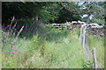 Gate on Sirhowy Valley Walk, Ton y groes