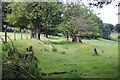 Grass track, Ysgubor-newydd