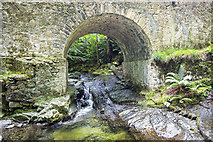 J3432 : Bridge, Tollymore by Rossographer