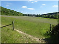 Chalk downland at Saltbox Hill