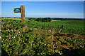 SS7402 : Mid Devon : Countryside Scenery by Lewis Clarke